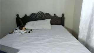 lusypickme animated gif teaser