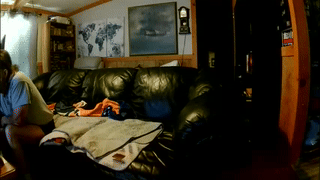 grace_and_milo animated gif teaser