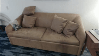 antonellaporter animated gif teaser