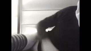 horny_nick18 animated gif teaser