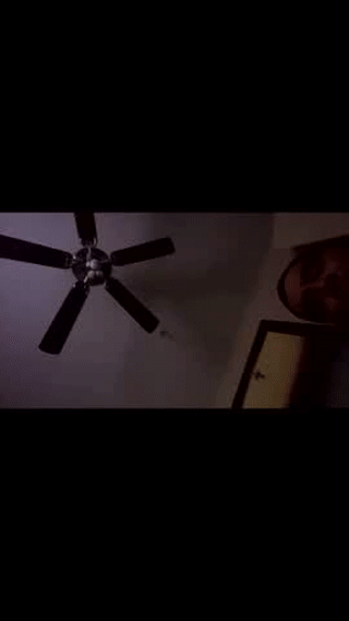 bisexqldniteowl animated gif teaser
