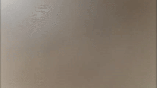 bestmuscle animated gif teaser