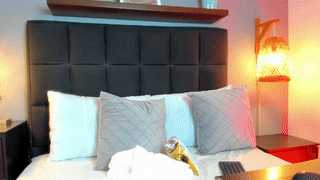 lisa__fox animated gif teaser