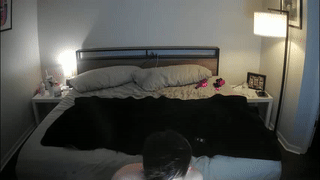 roseandmiah animated gif teaser