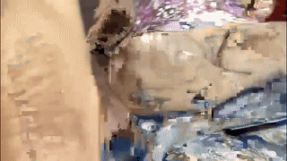 zoe_axel1 animated gif teaser