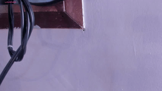 lisafoxy_ animated gif teaser