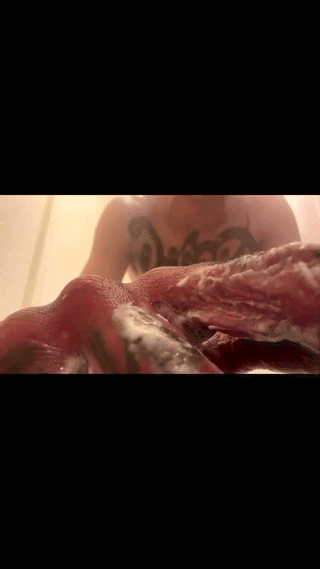 im_joel_ animated gif teaser
