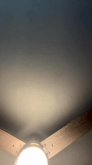 dante_adamss animated gif teaser