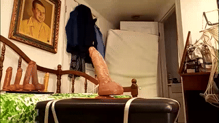 hottiewithabody101 animated gif teaser