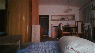 kilian_rocho animated gif teaser