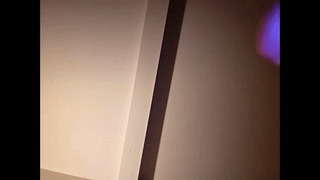 musclegodsammy23 animated gif teaser