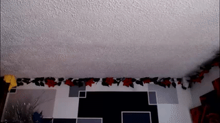 cock_big_girl animated gif teaser