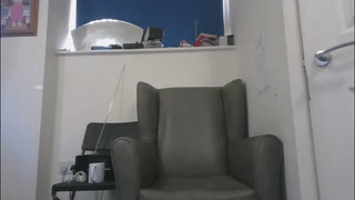 lilbearxxxx animated gif teaser