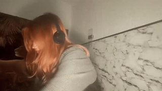 caramelangels animated gif teaser