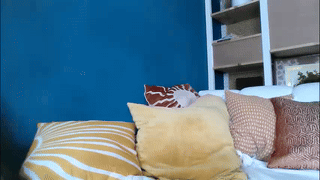 militaryfratboy animated gif teaser