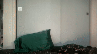 tinybun animated gif teaser