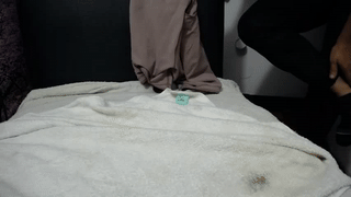 ilona_curly animated gif teaser