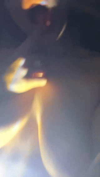 nicollbashel animated gif teaser