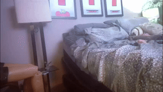 nicolasmuscle animated gif teaser