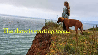 kateowens animated gif teaser