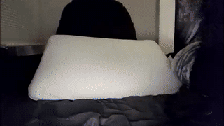 mikw63 animated gif teaser