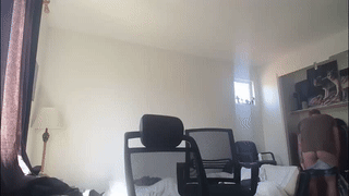 billydubs animated gif teaser