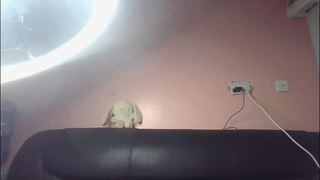 amylure animated gif teaser