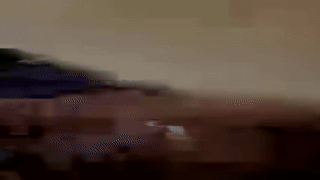 tiffanybae animated gif teaser