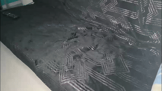 ethangreey1 animated gif teaser