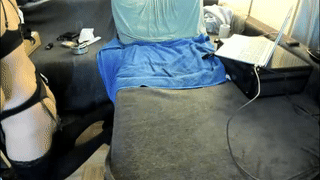 gatitavenecis1 animated gif teaser