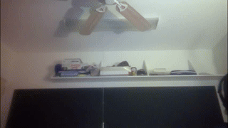 thameslee animated gif teaser