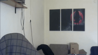 johan_williams_07 animated gif teaser