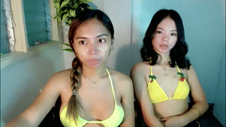 rodde_schlocer animated gif teaser