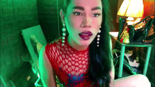 zaid_lion animated gif teaser