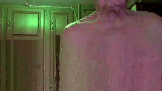 scdilf23 animated gif teaser