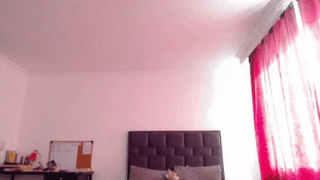 oke_doke animated gif teaser