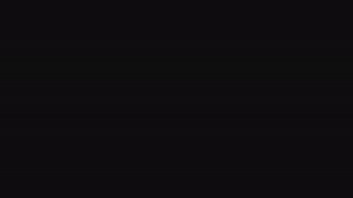 rodde_schlocer animated gif teaser