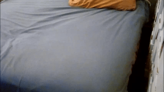 janomar01 animated gif teaser