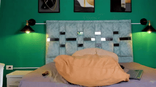 mitch911 animated gif teaser