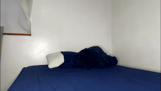 astiff1foru animated gif teaser