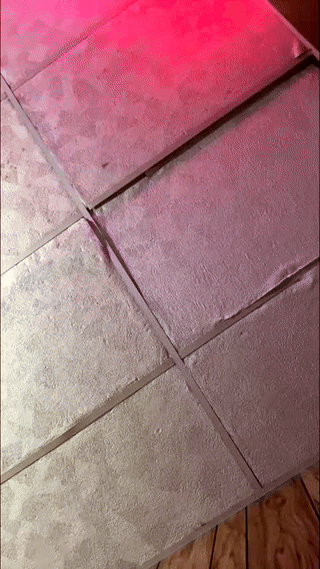 mikeymorningstar animated gif teaser