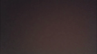 williamgriffith animated gif teaser