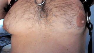 dominiofit animated gif teaser