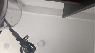 adamsjason20 animated gif teaser
