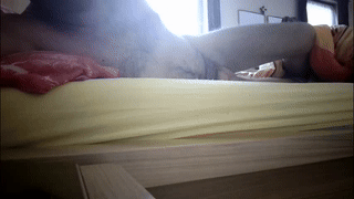 xd808xd animated gif teaser