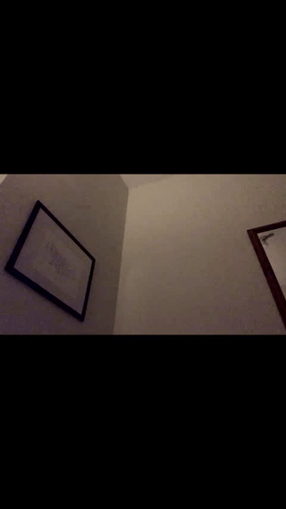 justcallme_james animated gif teaser