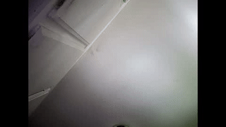 stranggee animated gif teaser