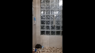 paul_rubini animated gif teaser