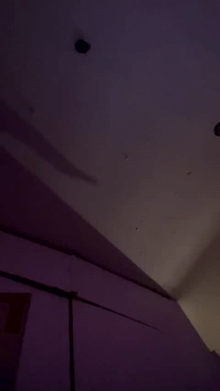 kabriggs136 animated gif teaser