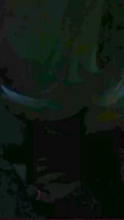 6speedio's Profile